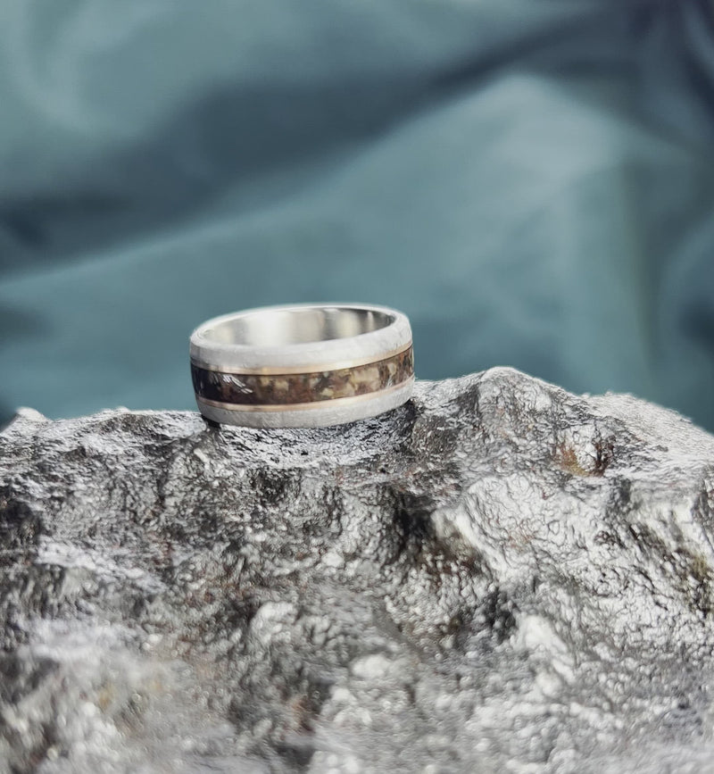 Dinosaur Bone & Meteorite Wedding Band With Gold Pinstripes