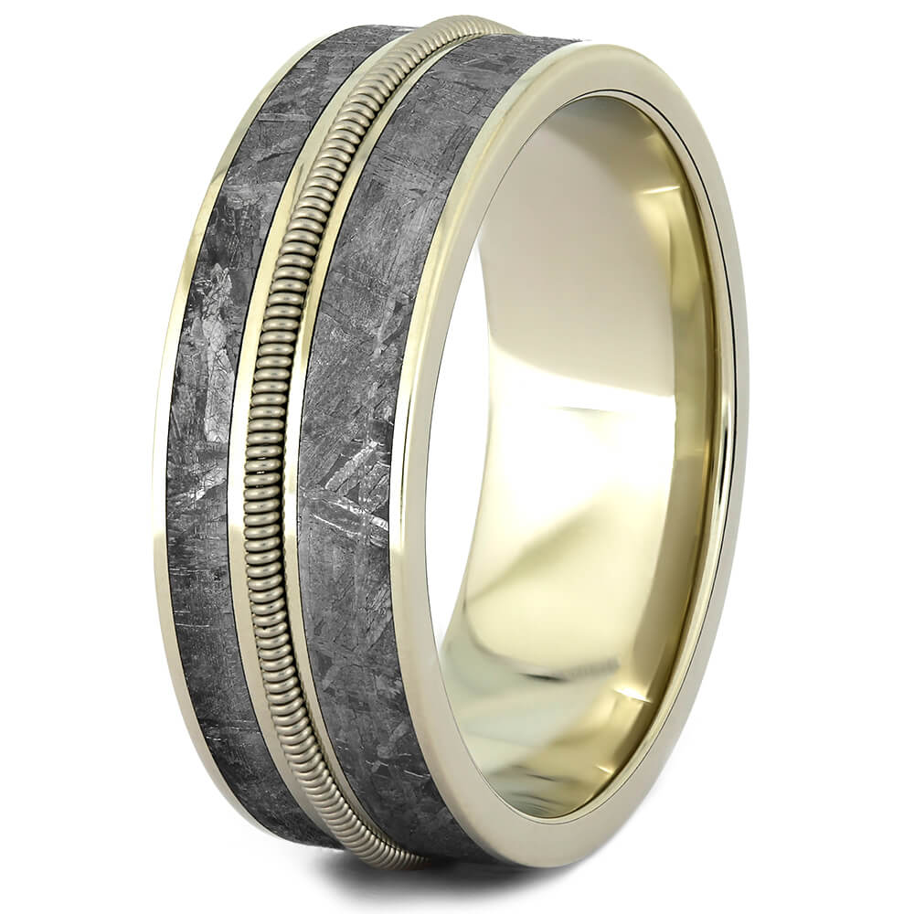 Cello String Ring with Gibeon Meteorite in White Gold-4369 - Jewelry by Johan