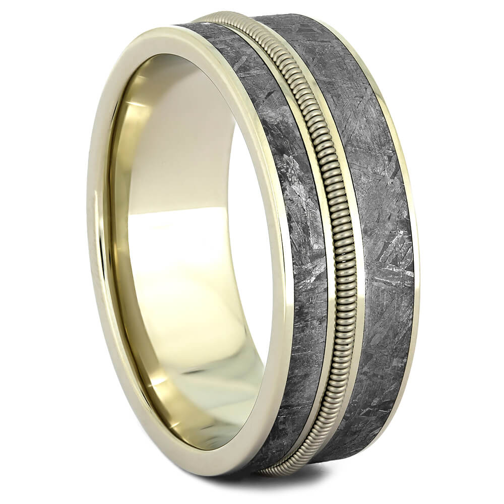 Cello String Ring with Gibeon Meteorite in White Gold-4369 - Jewelry by Johan