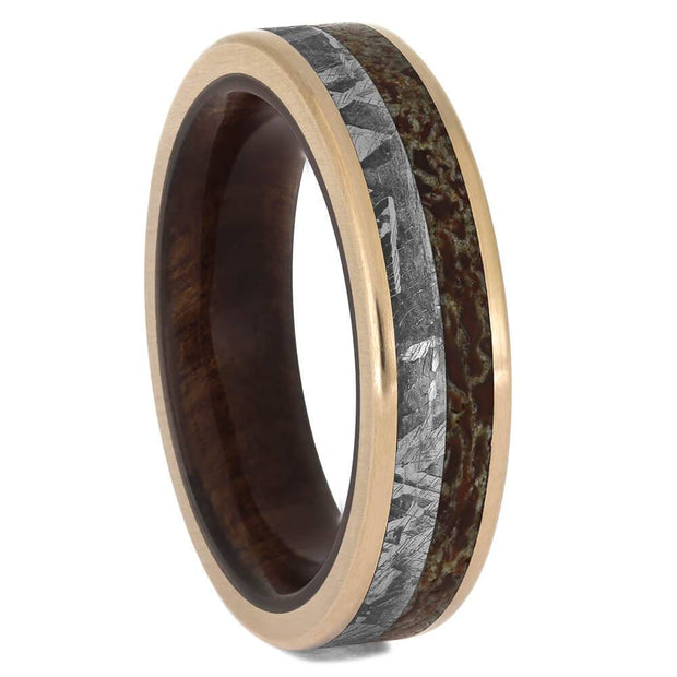 Meteorite and Dinosaur Bone Wedding Band