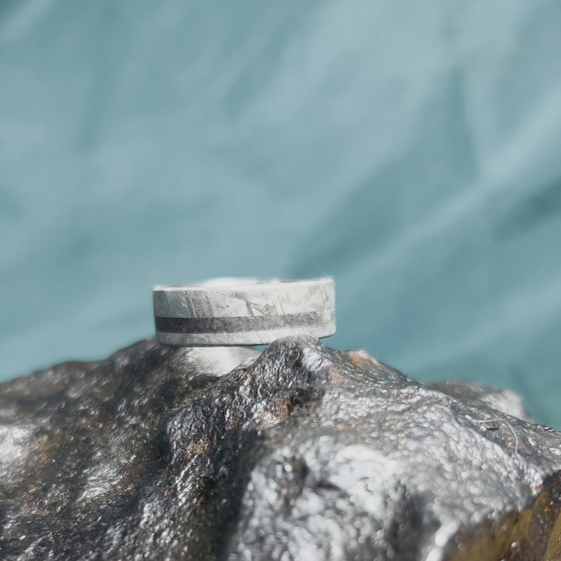 Meteorite Wedding Band With Dinosaur Bone and Titanium