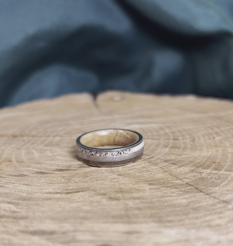 Meteorite and Dinosaur Bone Wedding Band with Whiskey Wood Sleeve