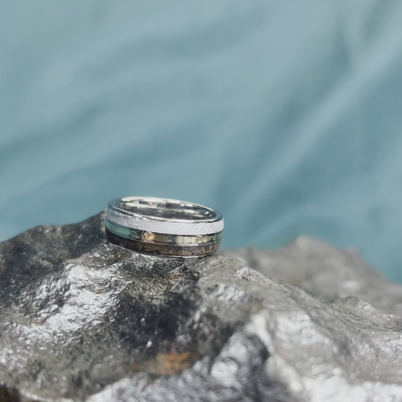 Dinosaur Bone & Meteorite Ring With Gold Pinstripe