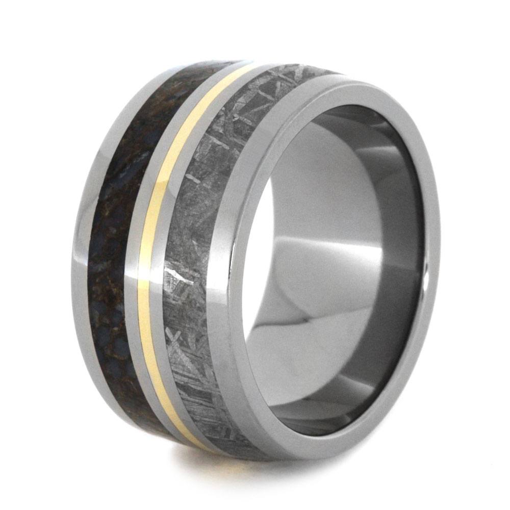 Meteorite Dinosaur Ring in Titanium Wedding Band with Yellow Gold-3194 - Jewelry by Johan