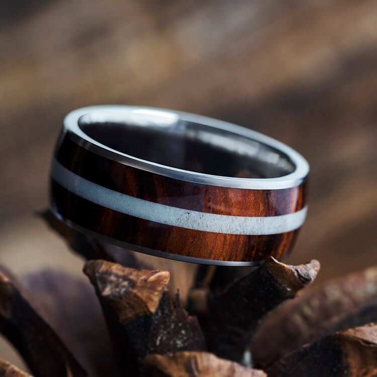 Honduran Rosewood Ring With Antler Center Pinstripe-3703 - Jewelry by Johan