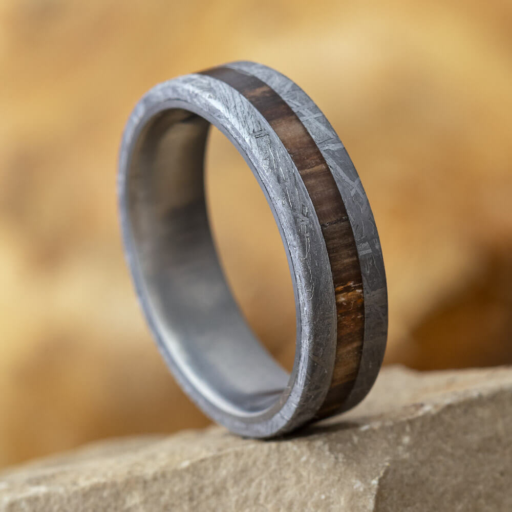 Meteorite and Petrified Wood Ring in Titanium Wedding Band-1728 - Jewelry by Johan