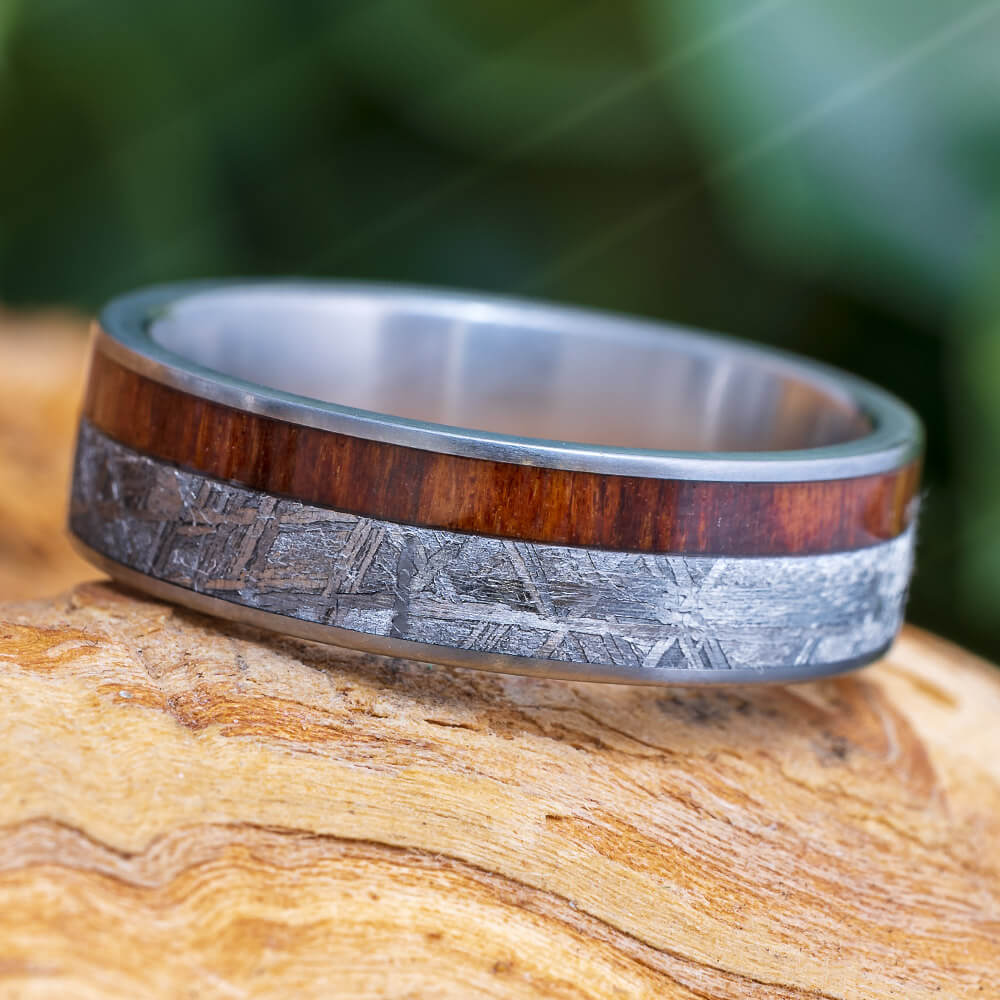Meteorite and Snakewood Wedding Band