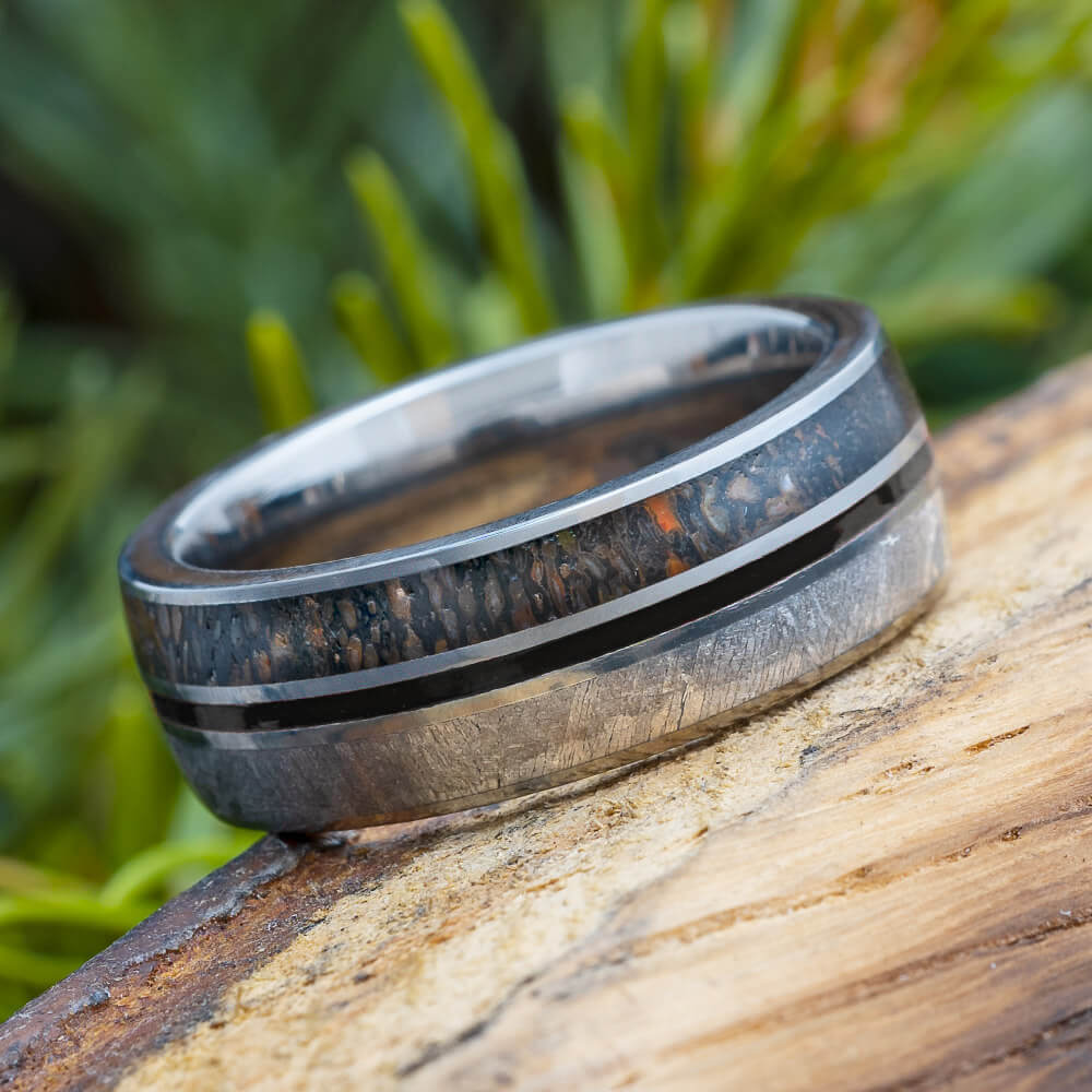 Fossil and Meteorite Wedding Band with Black Pinstripe