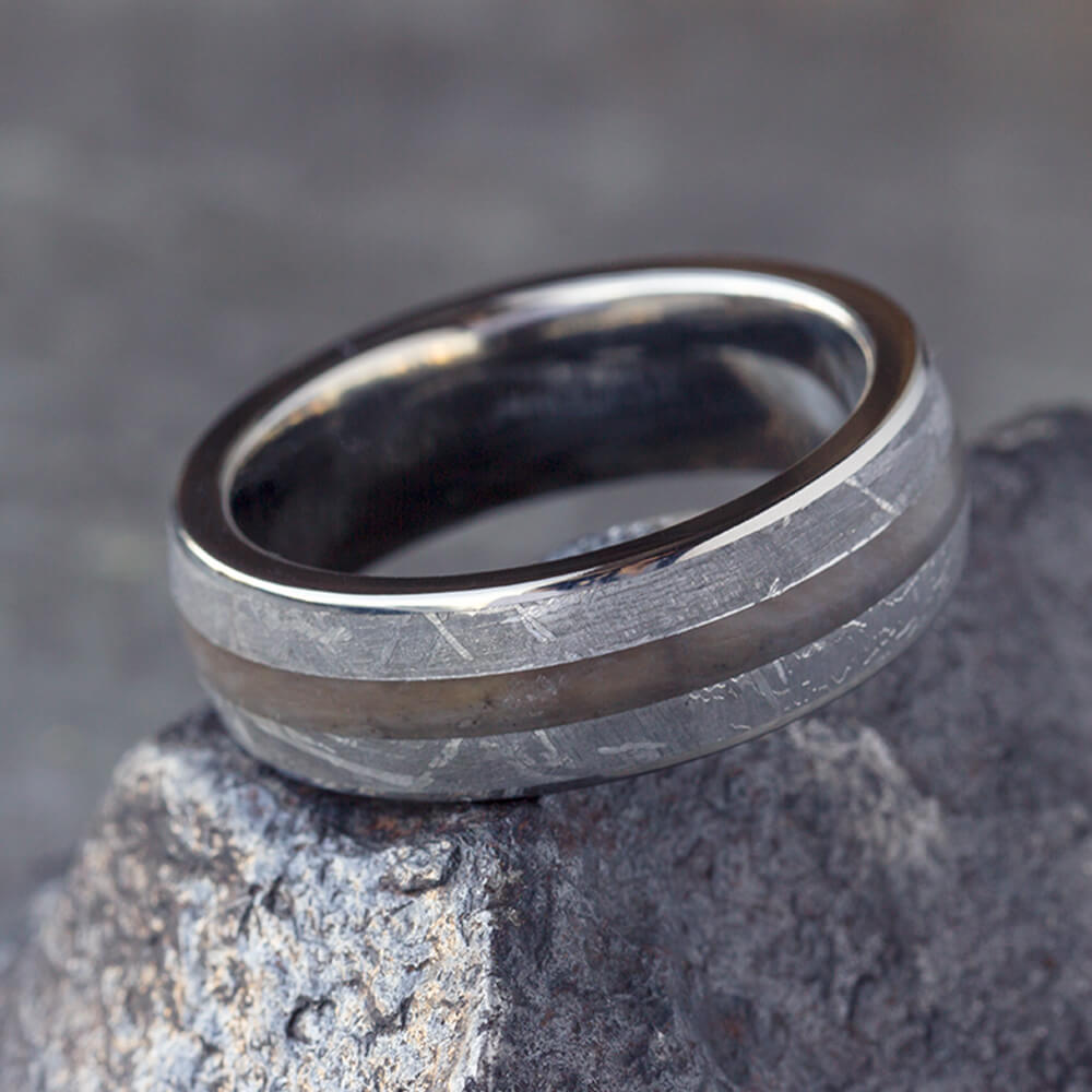 Petrified Wood Men's Ring With Gibeon Meteorite In Titanium-3110 - Jewelry by Johan