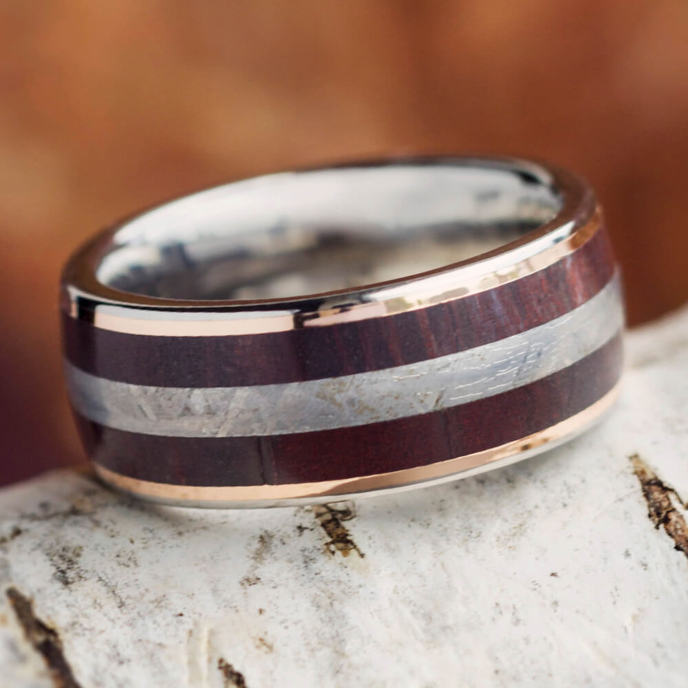 Meteorite and Petrified Wood Wedding Band for Men