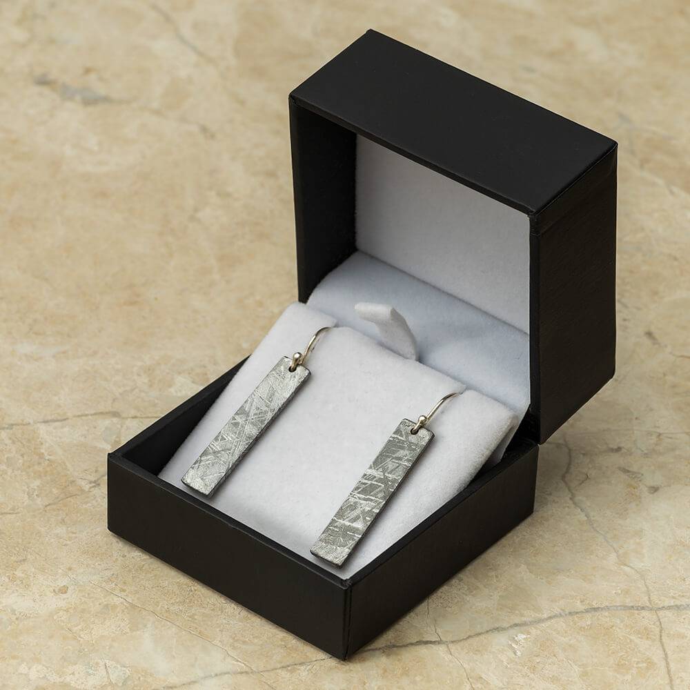 Meteorite Dangle Earring Set in Box