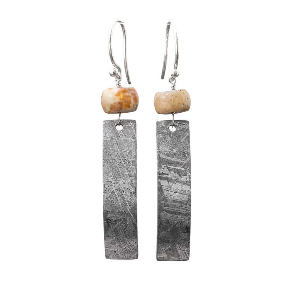 Fossil and Meteorite Dangle Earrings