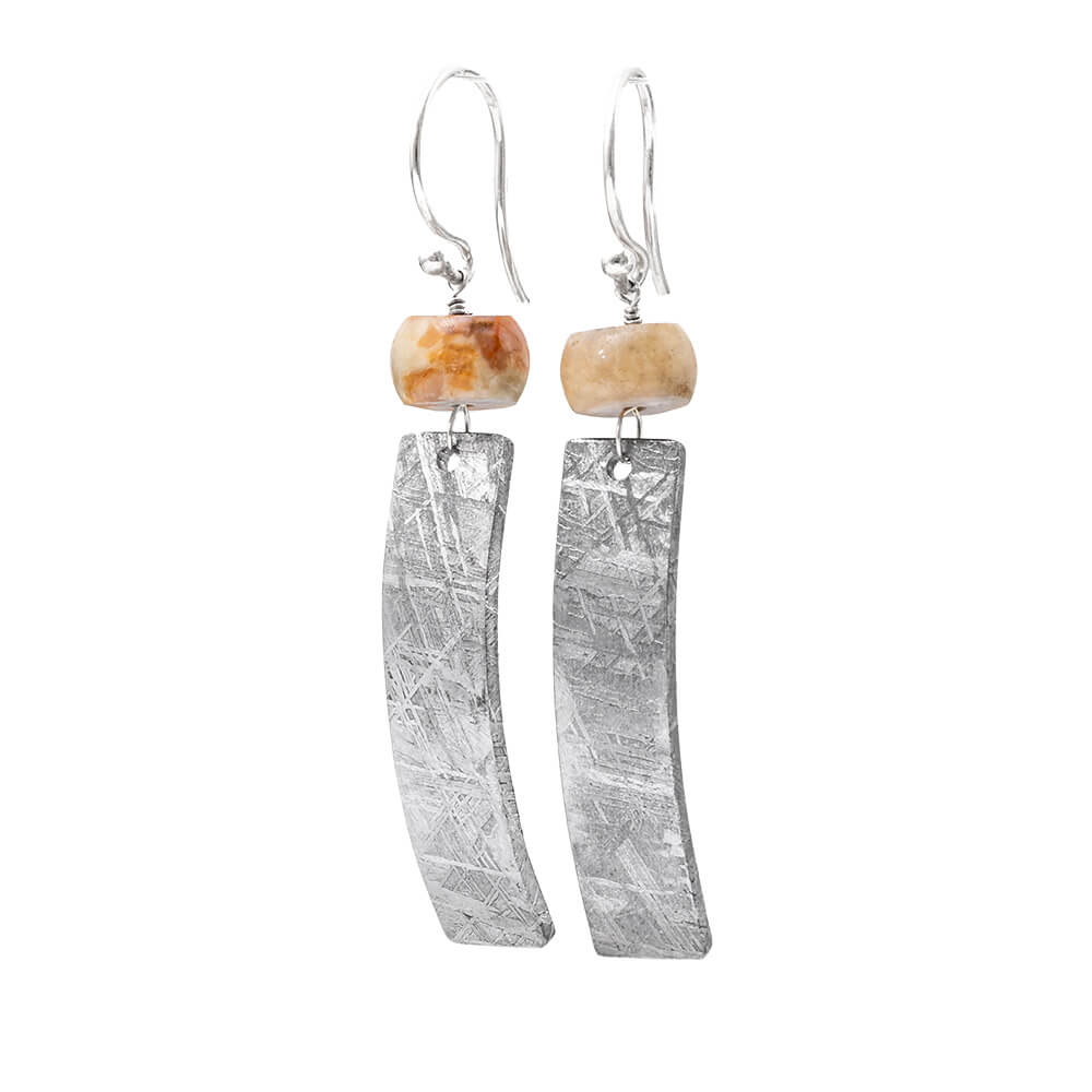 Fossil and Meteorite Dangle Earring Set