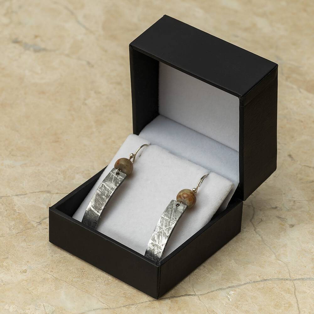 Fossil and Meteorite Earrings