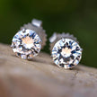 Moissanite Stud Earrings