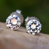 Moissanite Stud Earrings