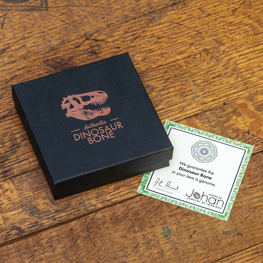 Dinosaur Bone Certificate