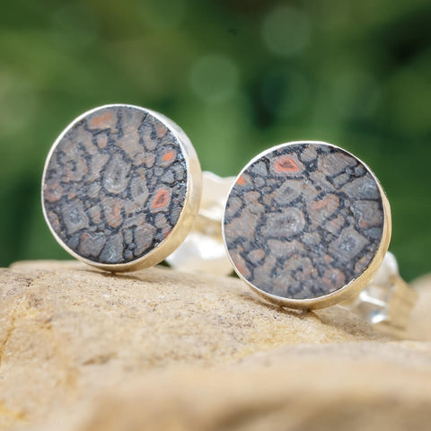 Dinosaur Bone Earrings