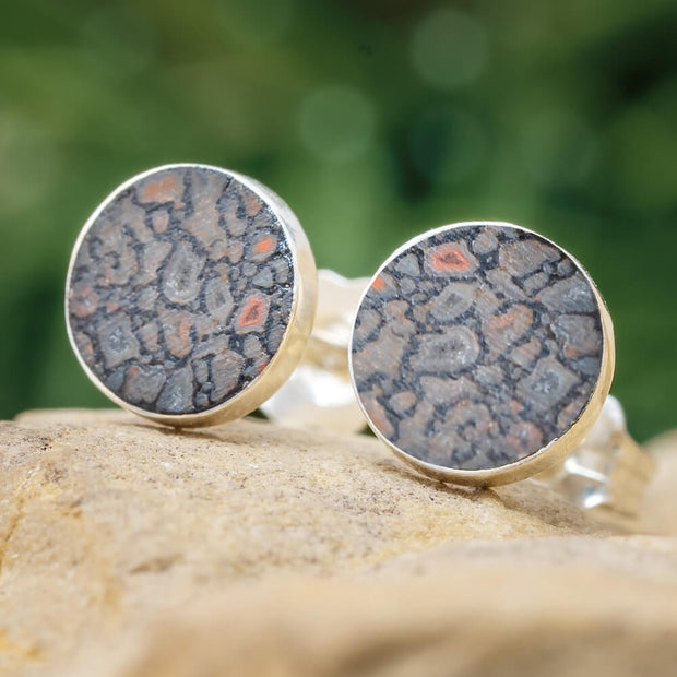 Dinosaur Bone Earrings