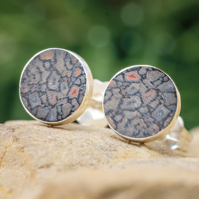 Dinosaur Bone Earrings
