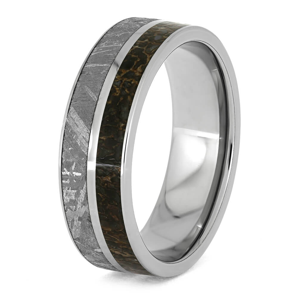 Titanium Ring With Gibeon Meteorite And Dinosaur Bone Separated By Titanium Pinstripe-1622 - Jewelry by Johan