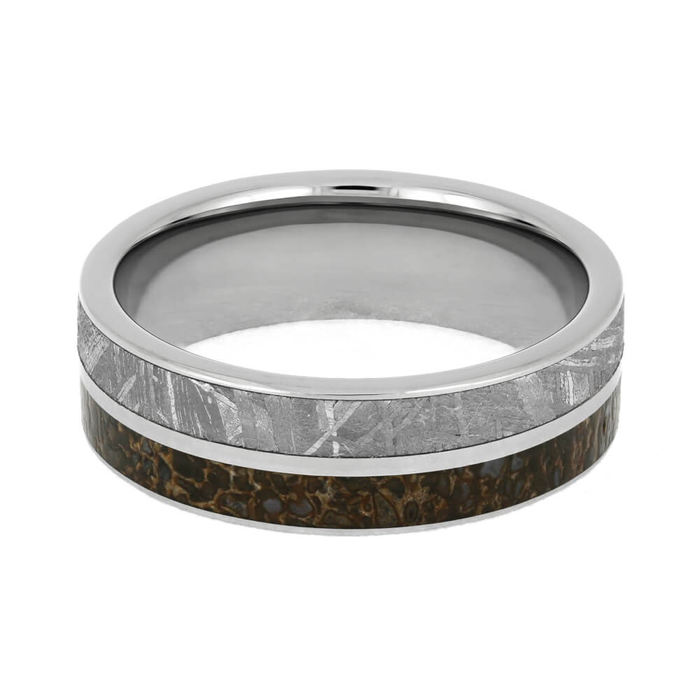 Titanium Ring With Gibeon Meteorite And Dinosaur Bone Separated By Titanium Pinstripe-1622 - Jewelry by Johan
