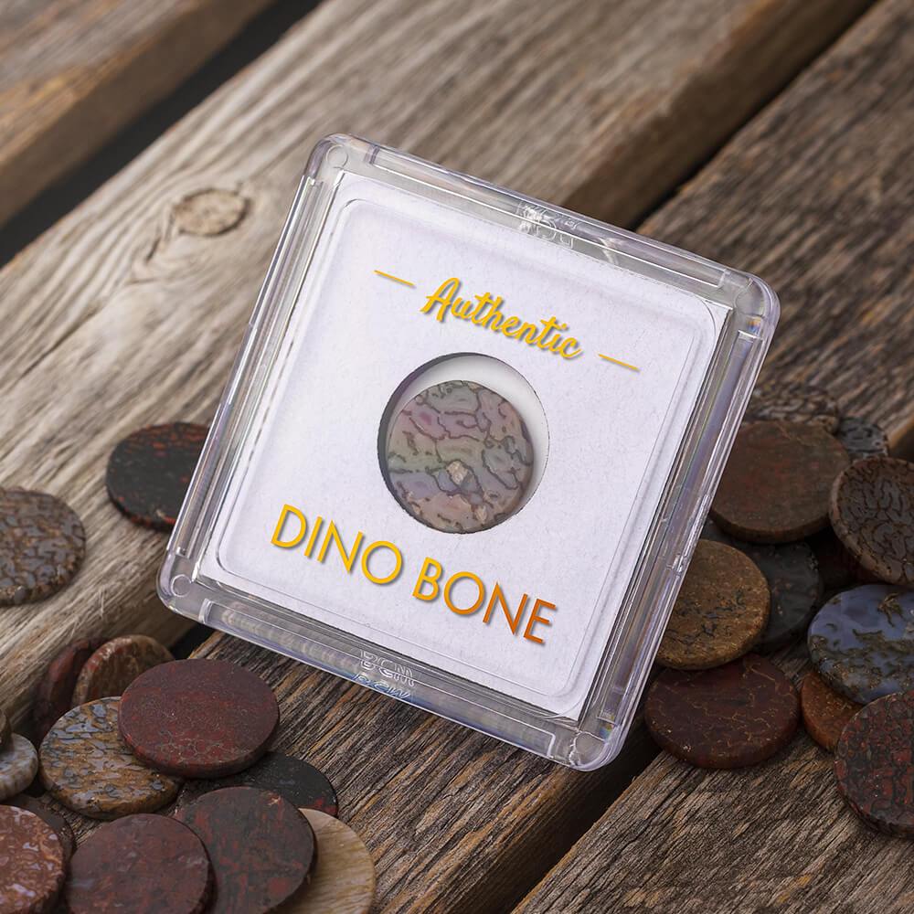Fossilized Dinosaur Bone Souvenir Token-4761 - Jewelry by Johan