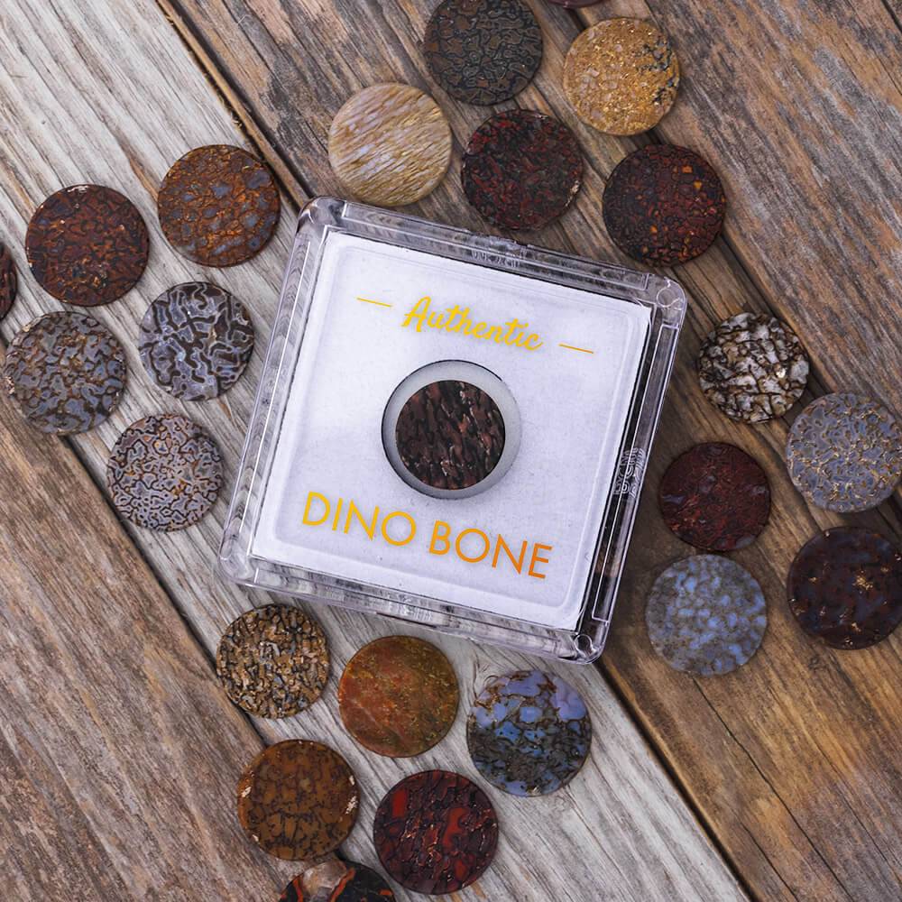 Fossilized Dinosaur Bone Souvenir Token-4761 - Jewelry by Johan