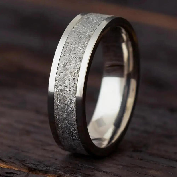 Gibeon Meteorite Ring in Titanium
