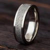 Gibeon Meteorite Ring in Titanium