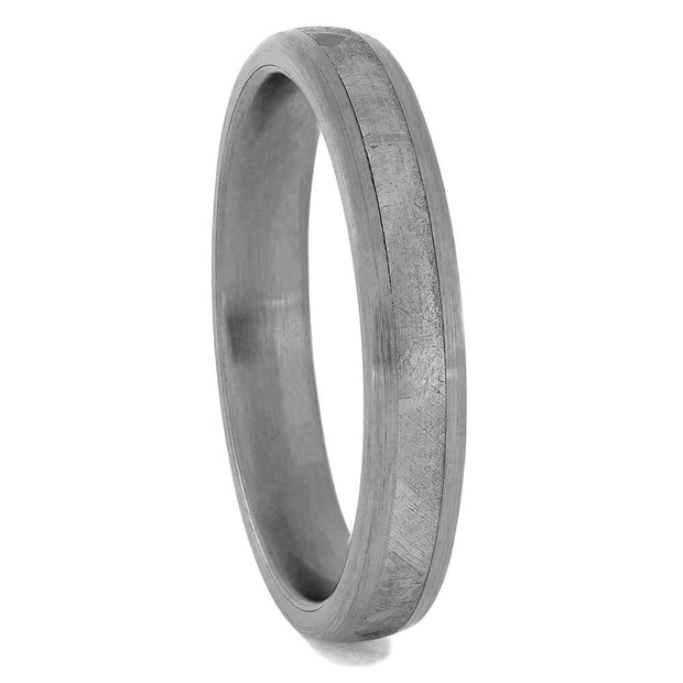Titanium and Meteorite Ring