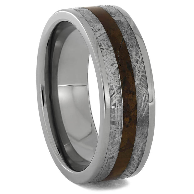 Meteorite and Dinosaur Bone Men's Rings