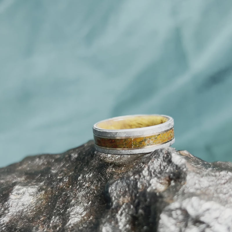 Meteorite & Dino Bone Ring With Wood Sleeve