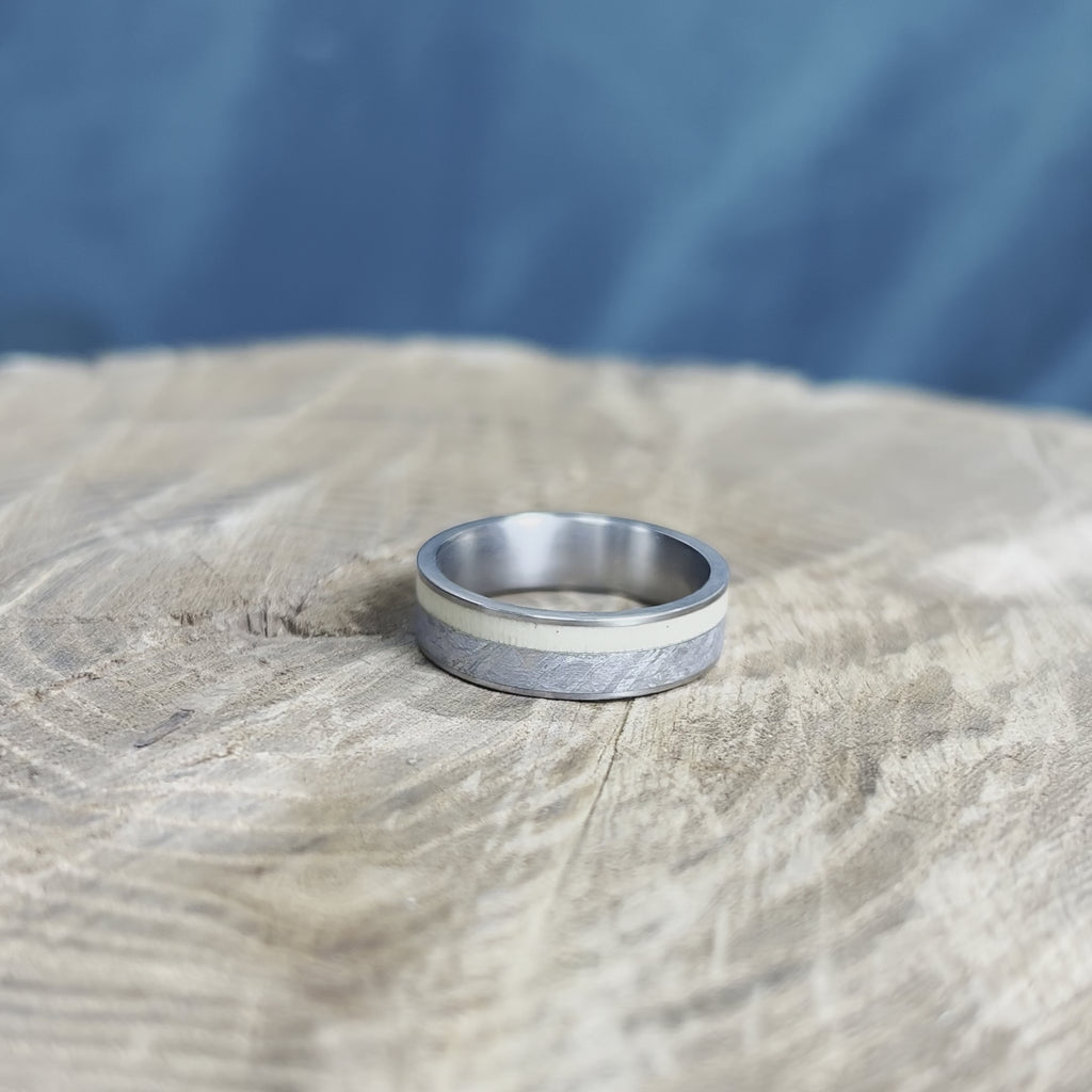 Aspen Wood Ring With Meteorite, Titanium Men's Wedding Band