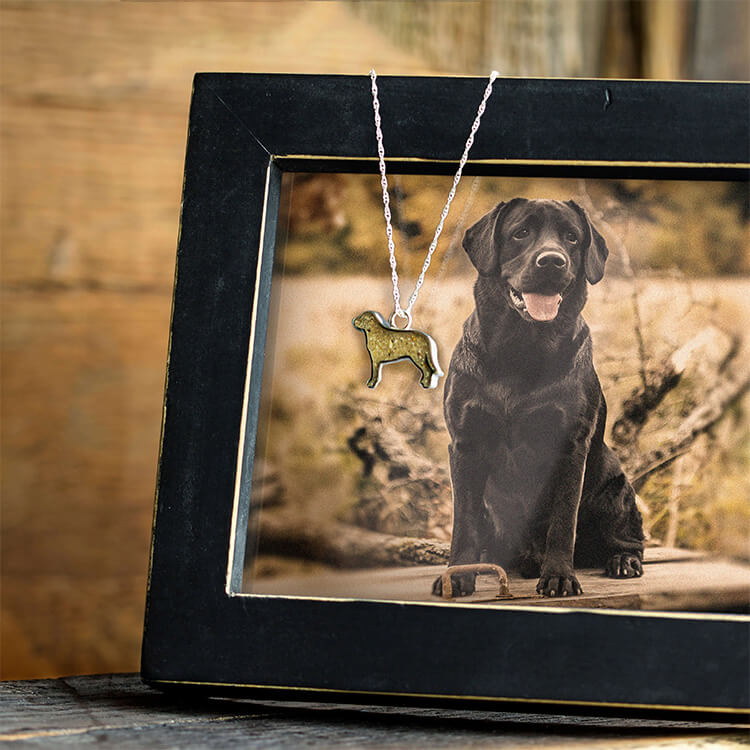 Dog Memorial Necklace With Ashes Pendant