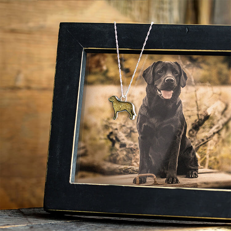 Dog Memorial Necklace With Ashes