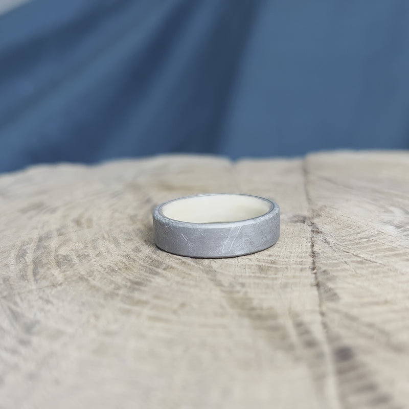 Meteorite Men's Wedding Band With Wood Sleeve