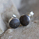 Dinosaur Fossil Tiny Stud Earrings, In Stock-SIG3052 - Jewelry by Johan