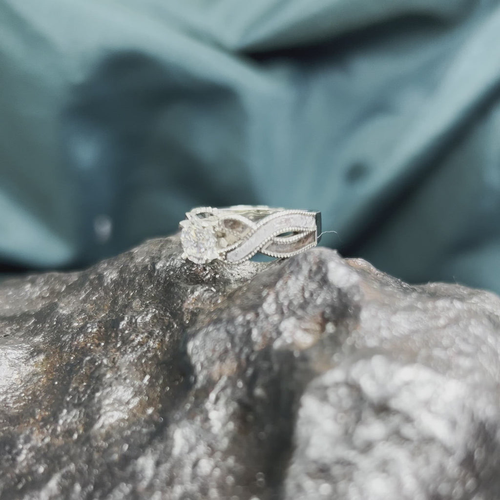 Meteorite and Dinosaur Bone Engagement Ring in White Gold