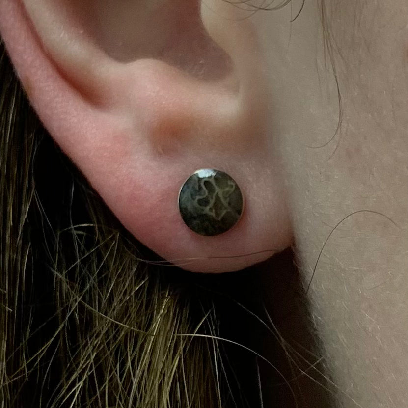 Dinosaur Fossil Tiny Stud Earrings, In Stock-SIG3052 - Jewelry by Johan